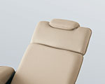 Backrest cushion